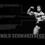 Arnold Schwarzenegger Bodybuilding Wallpaper 