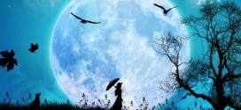 Moon Wallpapers
