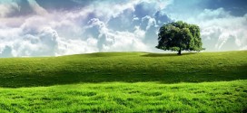 Landscape Wallpapers