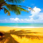 beach wallpaper