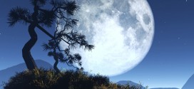 Fantasy Moon Wallpapers