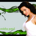 Amisha Patel Wallpaper 