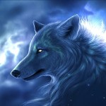 Arctic Wolf wallpaper