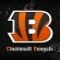 Cincinnati Bengals Wallpapers