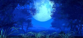 Blue Moon Wallpapers