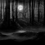 Dark Forest Moon Wallpaper