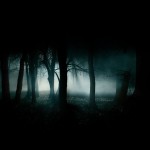 Dark Forest Wallpaper 3