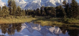 Yellowstone Wallpapers