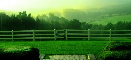 Rainfall Wallpapers
