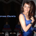 Surveen Chawla Wallpaper HD