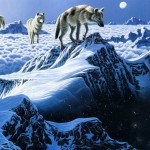 arctic wallpaper