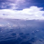 arctic wolf clouded sky wallpaper