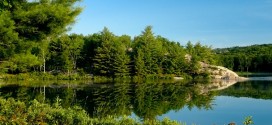 Green Lake Wallpapers