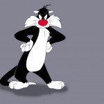 sylvester wallpaper